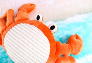 Unterwasserwelt Gewichtstiere