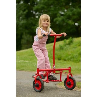 VIKING CHALLENGE Step Roller Winther