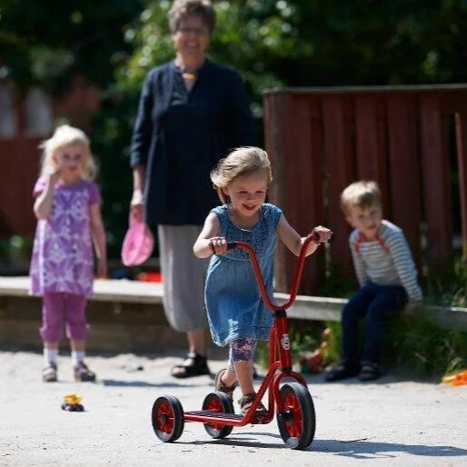 B-Ware Mini Roller mit 2 Hinterrädern Winther  - 20%