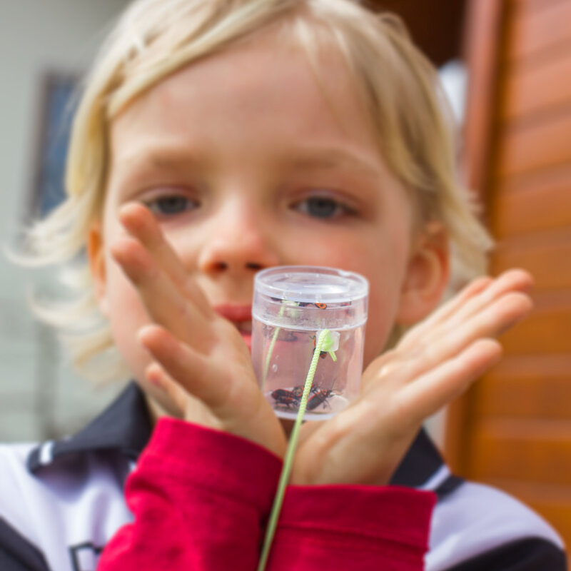 Mini-Lupendose zum Umhängen