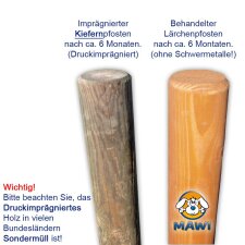 Kleine Doppelschaukel aus Lärchenholz