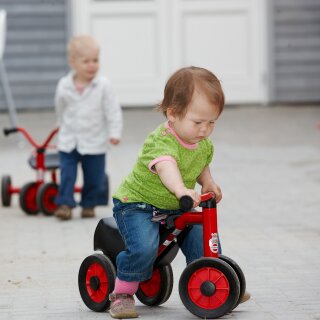 Mini Safety Scooter Winther