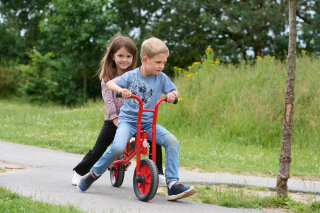 Viking Tandem BikeRunner Winther