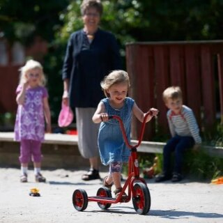 Mini Roller mit 2 Hinterrädern Winther