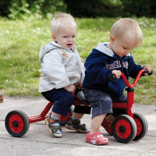 Mini Doppel Rutsch Taxi Winther