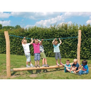 Robinie Pendelbalken