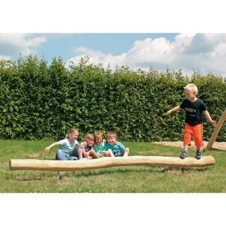 Robinie Schwebebalken