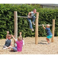 Robinie Reckstange 2 Stangen
